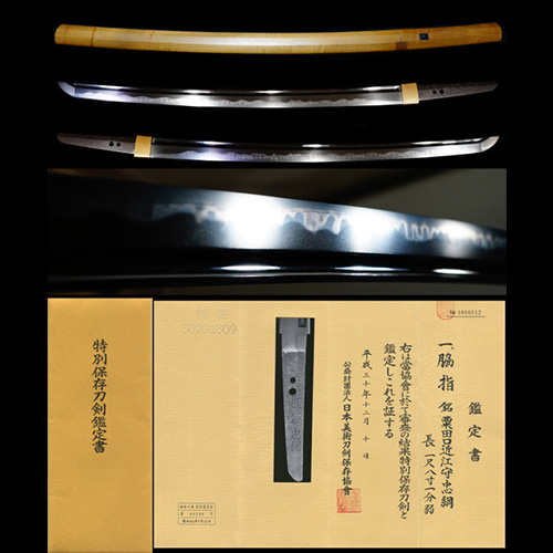 最上作一竿子忠綱前銘二代在銘『粟田口近江守忠綱』特別保存刀剣鑑定_ 最上作一竿子忠綱前銘二代在銘『粟田口近江守忠綱』特別保存刀剣鑑定_